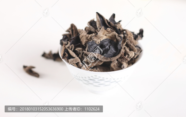 木耳