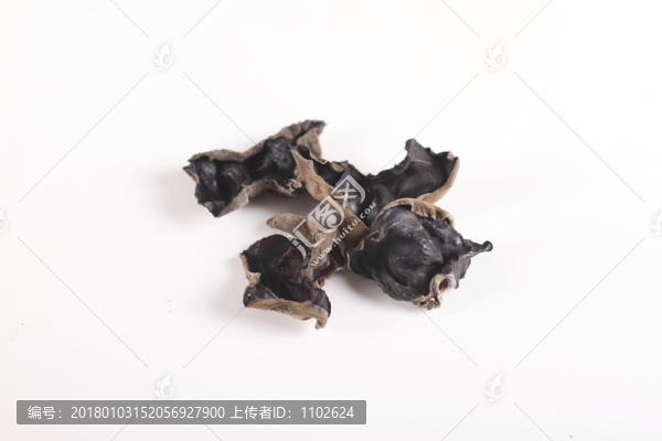 木耳