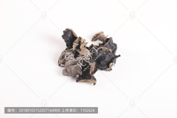 木耳
