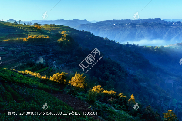 山頂晨霧