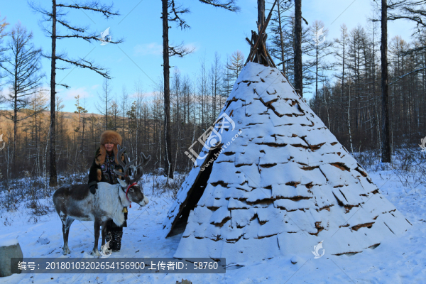 獵民和馴鹿在居住的撮羅子旁