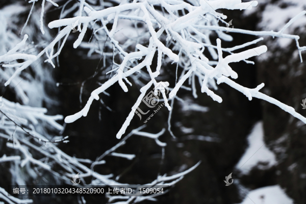 雪景