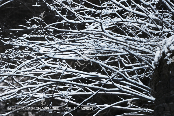 雪