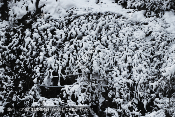 雪