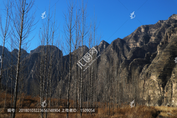 山谷
