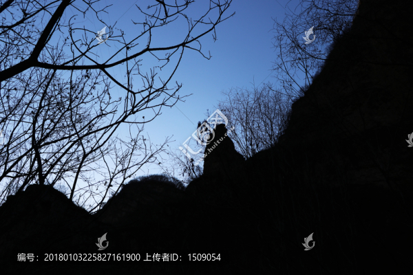 山