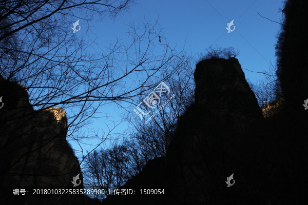 山