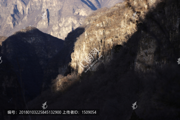 山
