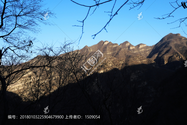 山