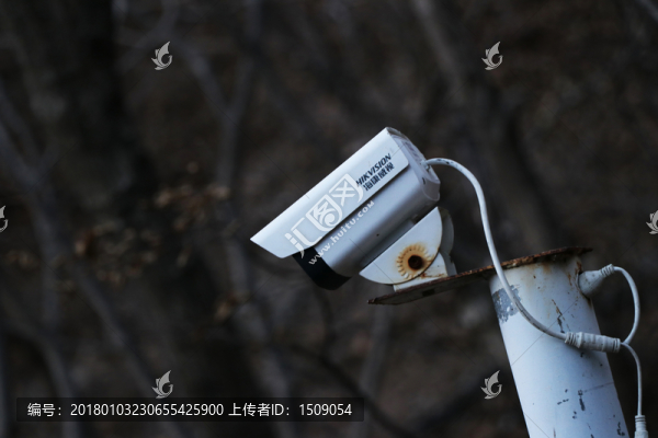 探頭