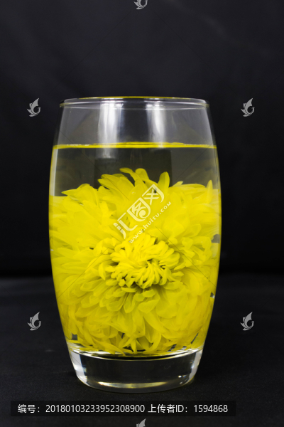 嫵媚的金絲皇菊