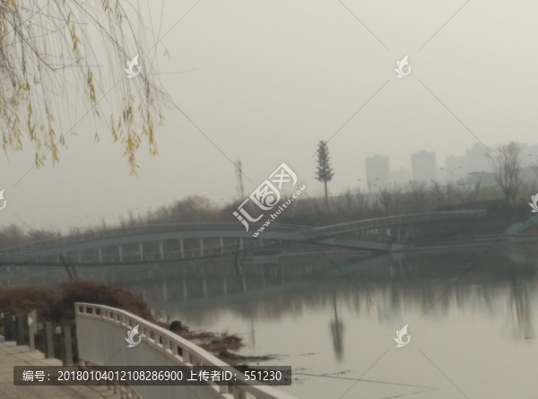 西安,隨手,動物,風景