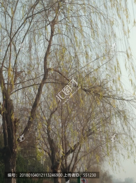 西安,隨手,動物,風(fēng)景