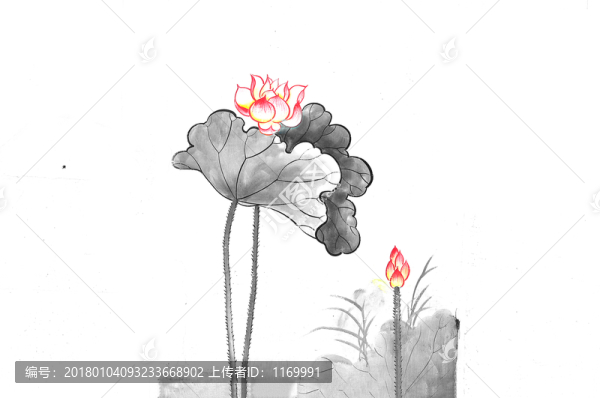 水墨荷花
