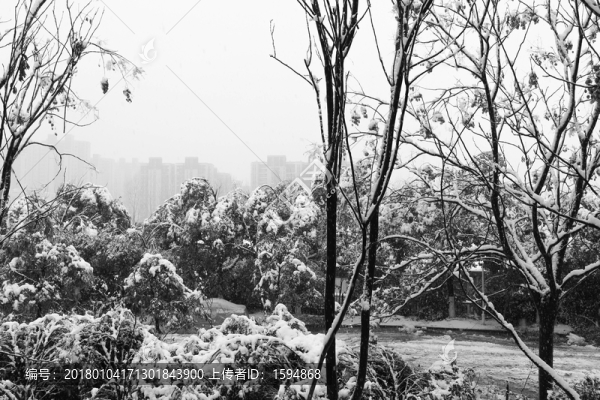 暖冬雪景