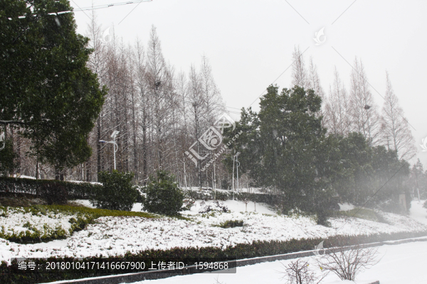 暖冬雪景