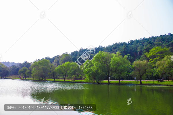 景區(qū)湖面
