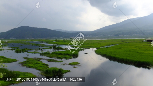 濕地風光
