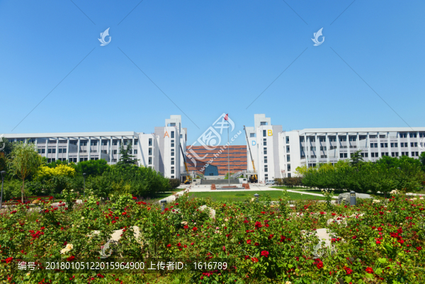 河北工業(yè)大學(xué),花