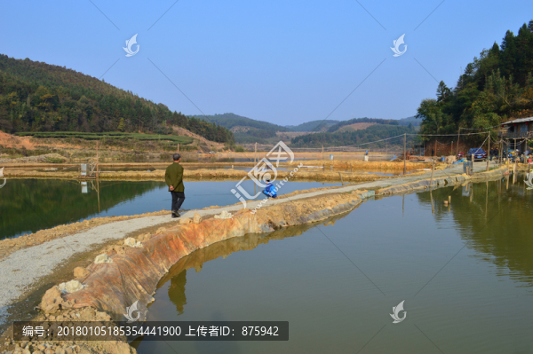 魚塘
