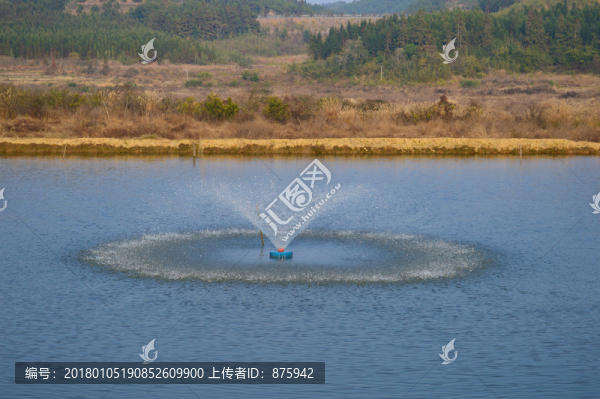 魚塘