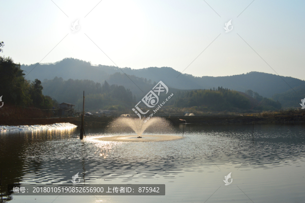 魚塘