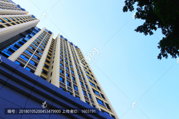 新建的辦公高樓