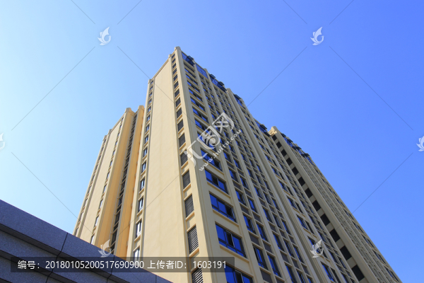 新建的辦公樓