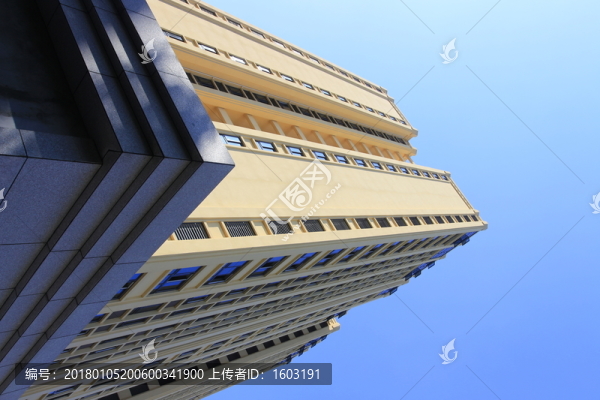 新建的辦公樓
