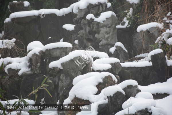 南京雨花臺(tái)雪景