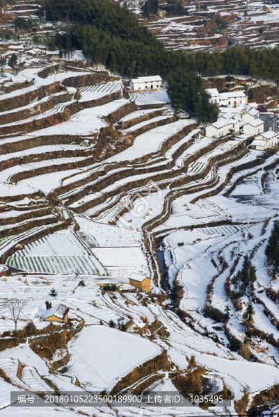 梯田雪景
