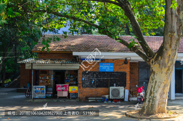 大樹下的小賣店