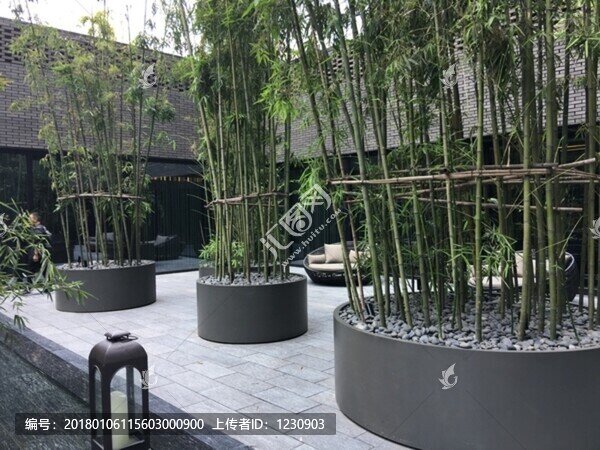 戶外造景