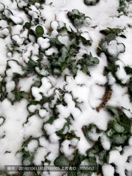 冰天雪地,（3）