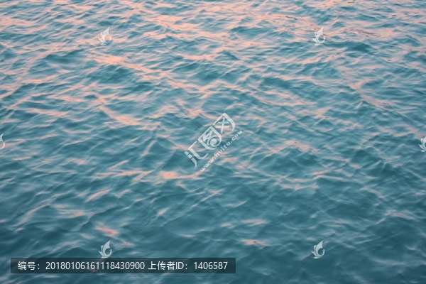 海波紋
