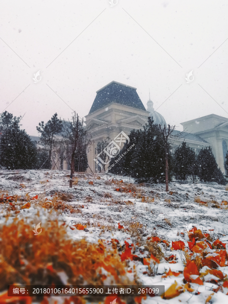 歐式建筑和雪景