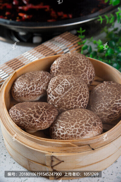 香菇包