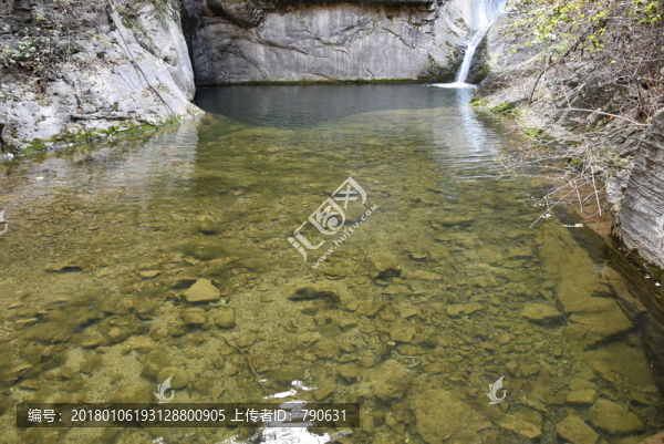 碧綠,河塘