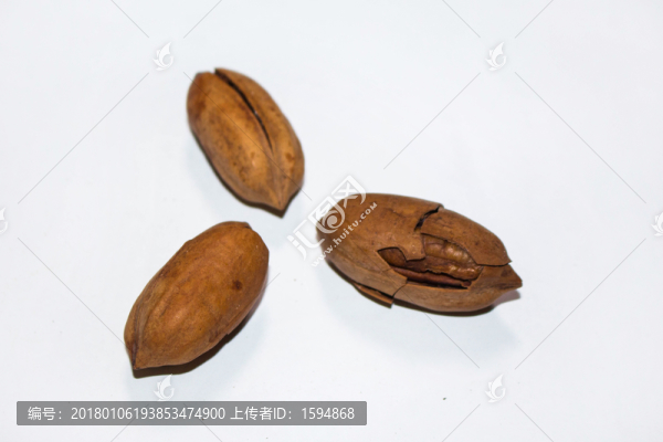 野核桃