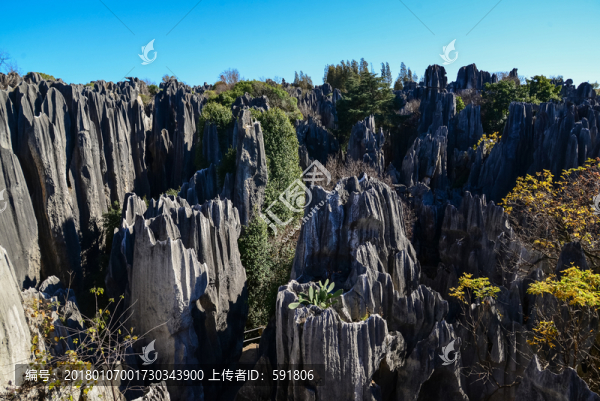 云南石林蓮花峰俯瞰