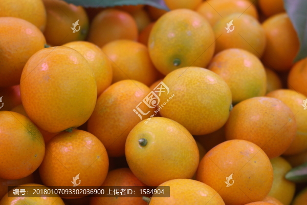 金桔
