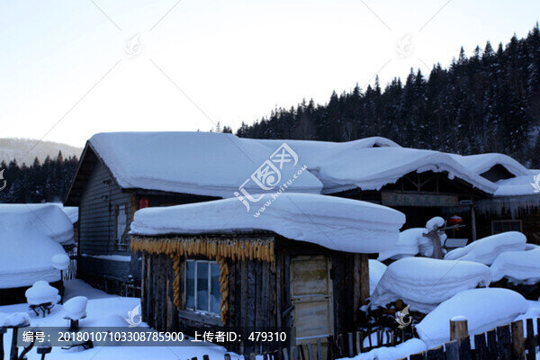 雪鄉(xiāng),雪鄉(xiāng)風(fēng)景,中國(guó)雪鄉(xiāng),雪景