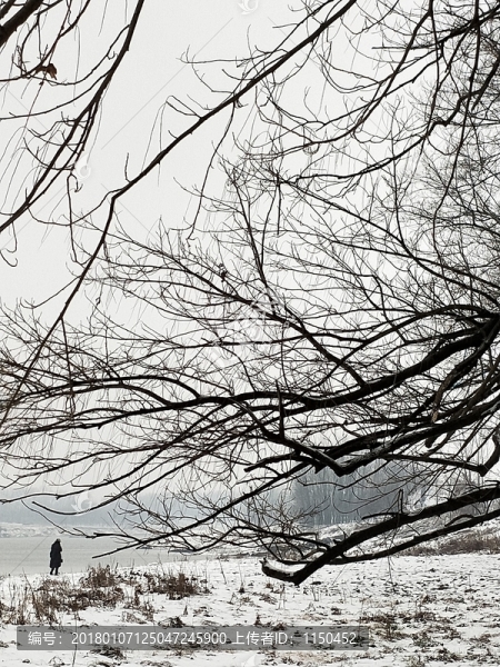 風(fēng)雪中的歡樂,（26）