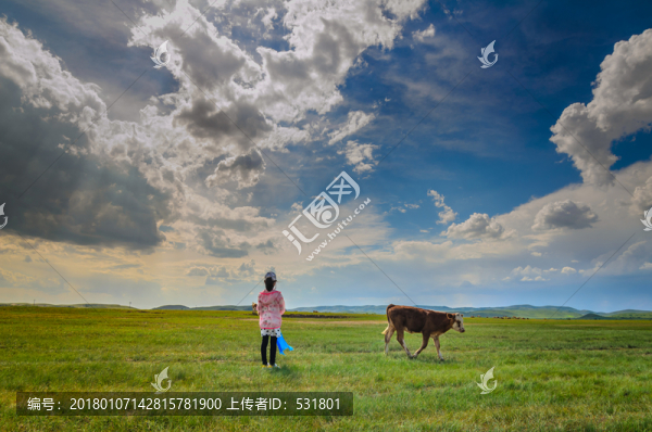 草原上的牛馬
