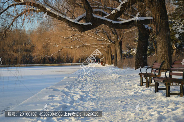 雪景