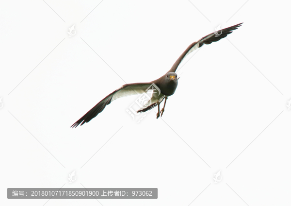 空中對視