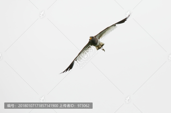 迎面飛來