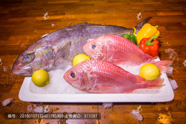 海鮮紅綢魚