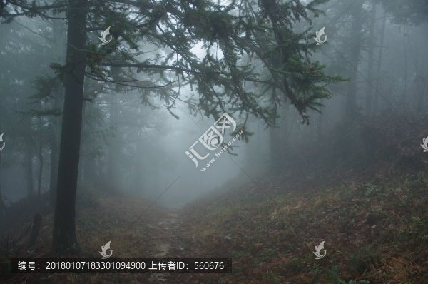霧色雨途