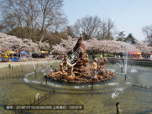 春季的青島中山公園